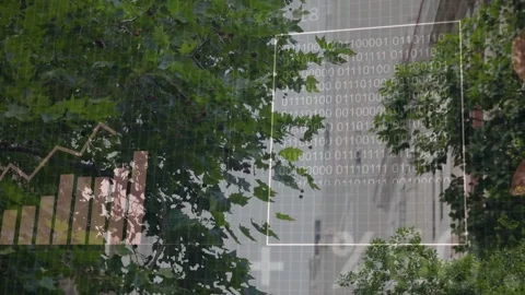 Data overlays fading in over tree canopy, line chart rising, bars filling, Stock Footage 333774446