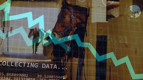 Data panel appearing, sending zigzag graph across horse, HUD and code emerging Stock Footage 333925040