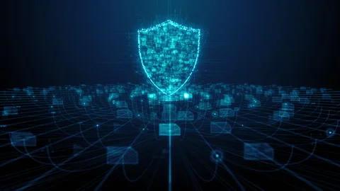 Data privacy Information technology big data cloud computing cyber security  Stock Footage 245325480