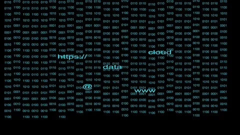 Data processing binary Ethernet streams Stock Footage 114971111