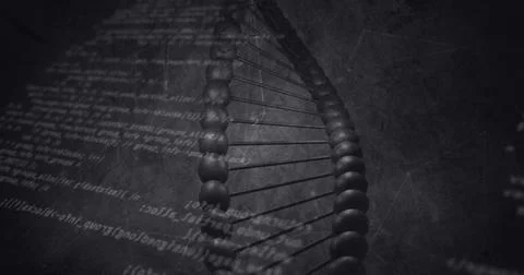 Data processing over dna structure spinning and network of connections against Stock Illustration