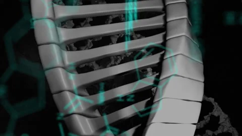 Data processing over spinning dna structure and network of connections against Stock Footage 312504088