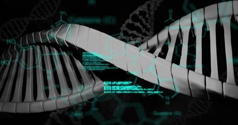 Data processing over spinning dna structure and network of connections against Stock Illustration
