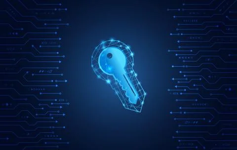 Data protection privacy concept. Key icon and internet technology networking  Stockillustratie
