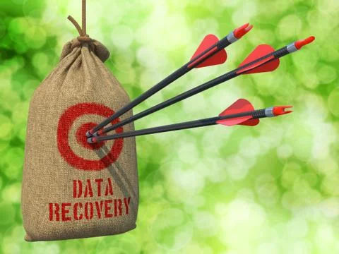 Data Recovery - Arrows Hit in Red Mark Target. Illustrazione stock
