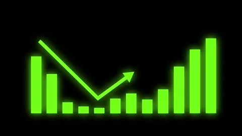 Data Report Presentation with Animated Financial Bar Graph Elements Stock Footage 316785513