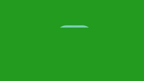 Data Scan Verification Interface Green Screen Animation 4K 動画素材 333814079