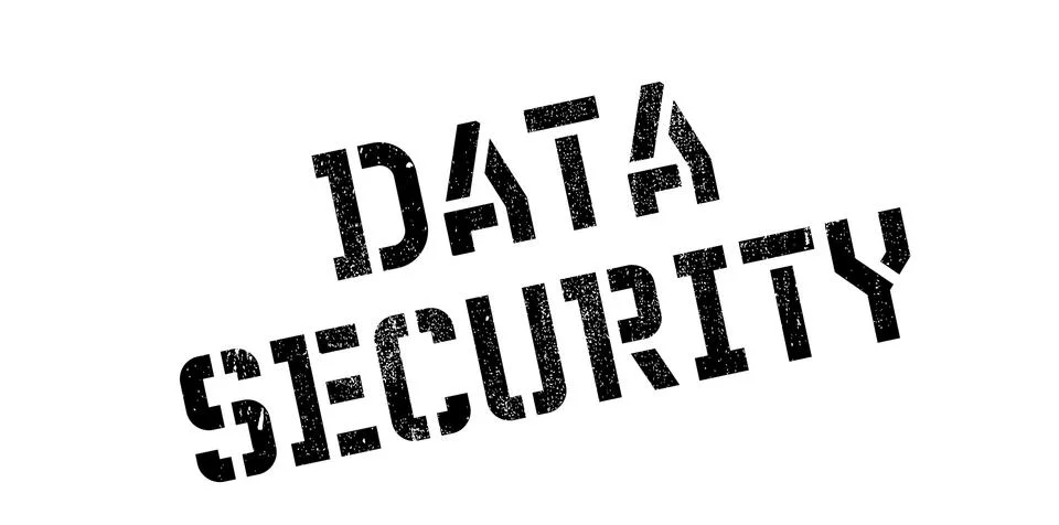 Data Security rubber stamp 스톡 일러스트