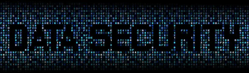 Data Security text on hex code illustration イラスト素材