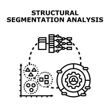 Data segmentation structural analysis process presenting insights 库存插图