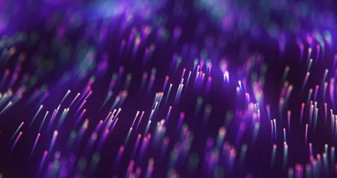 Data stream or flow. Looped. Seamless. Dot terrain violet waves. Light trails Stock Footage 240630125