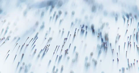 Data stream or flow. Looped. Seamless. Dot terrain blue waves on white Stock Footage 240632372