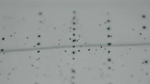 Data streams being processed by machine learning algorithms Stock Footage 332052431