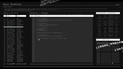 Data Terminal UI revealing console after code blur, loading entities, showing Stock Footage 329910913