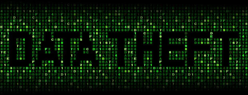 Data theft text on hex code illustration Stock-Illustration