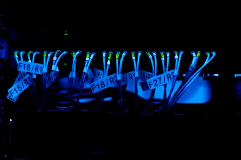 Data transfer by optical fibre on core network switch. selective focus shot Foto stock