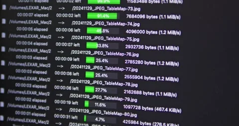 Data transfer statistics and file management insights a high-tech server Stock Footage 313935122