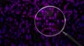 Data under magnifying glass binary spying spyglass 4k 4k or 4k+ Resolution