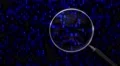 Data under magnifying glass binary spying spyglass 4k 4k or 4k+ Resolution