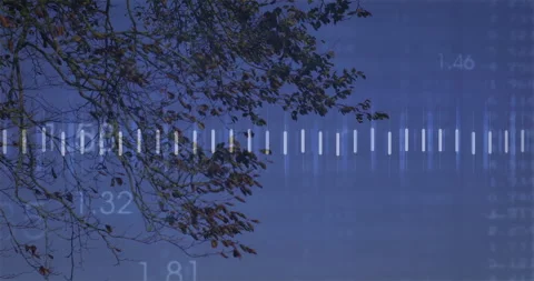 On data update branch extending with bars holding steady as colored line rising 스톡 동영상 310969914