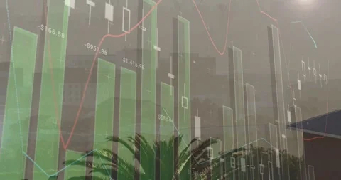 On data update market overlay animating over palm tree, green bars shifting, Stock Footage 328233663