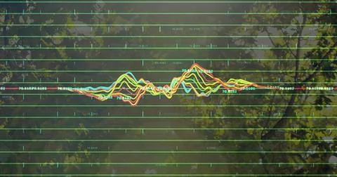 Data visualization displaying waveform curves and green grid lines in woods, Stock Photos