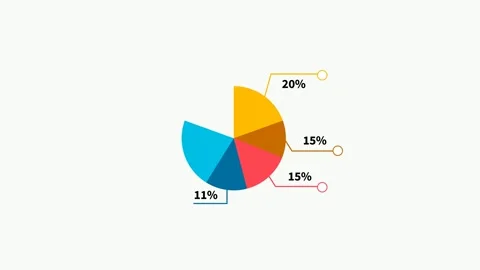Data Visualization Pie Chart Animation Stock Footage 316713105