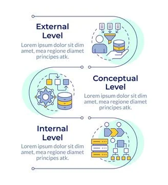 Database architecture layers infographic vertical sequence Illustrazione stock