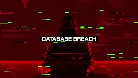 Database Breach  Warning text on no signal background Video stock 317030568