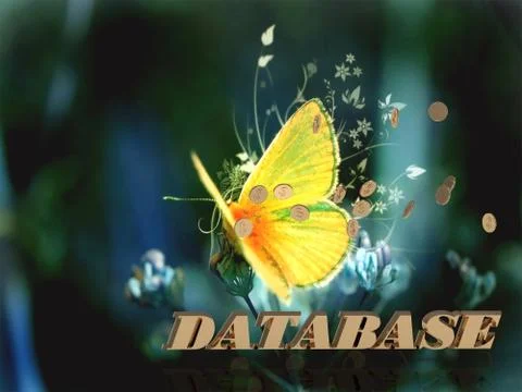 DATABASE  Bright word, Bright beautiful moth or butterfly on fairy tale backg Stock Illustration