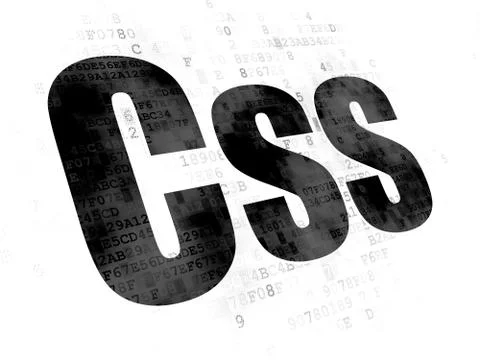 Database concept: Css on Digital background Stockillustratie