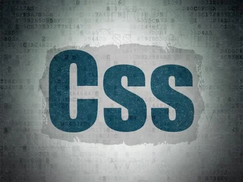 Database concept: Css on Digital Data Paper background Stock-Illustration