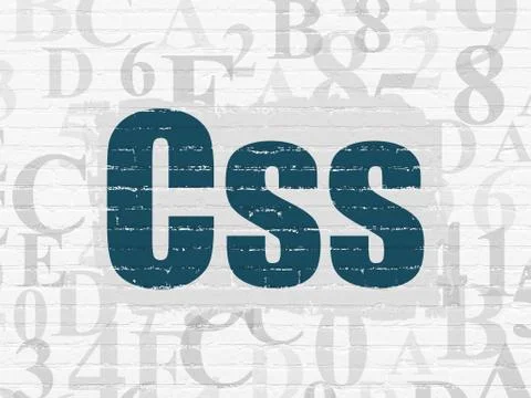Database concept: Css on wall background Stockillustratie