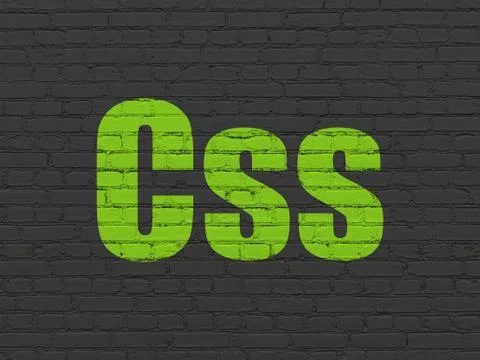 Database concept: Css on wall background Stockillustratie