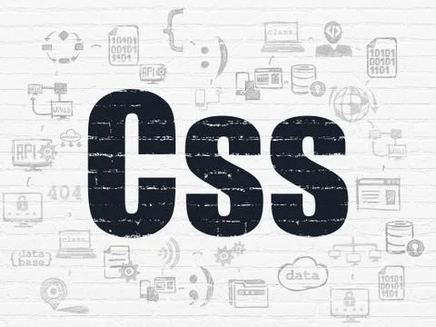 Database concept: Css on wall background Stock Illustration