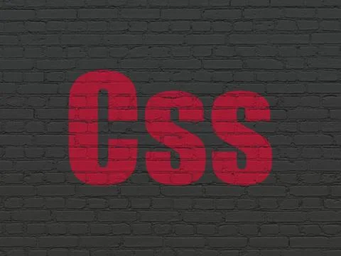 Database concept: Css on wall background Stock-Illustration