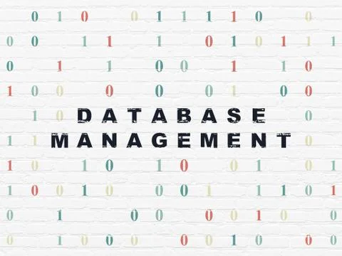 Database concept: Database Management on wall background Stockillustratie