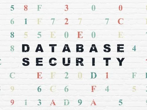 Database concept: Database Security on wall background Stock-Illustration