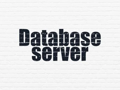 Database concept: Database Server on wall background 库存插图