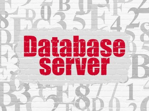 Database concept: Database Server on wall background 库存插图