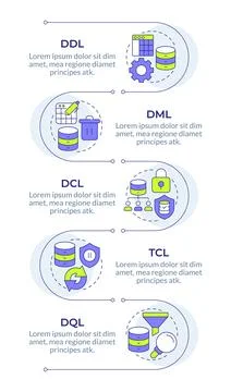 Database language categories infographic vertical sequence Illustrazione stock