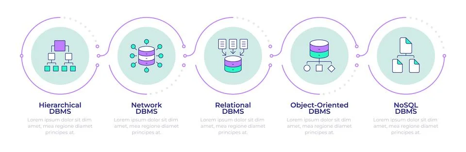 Database management types infographic 5 steps イラスト素材