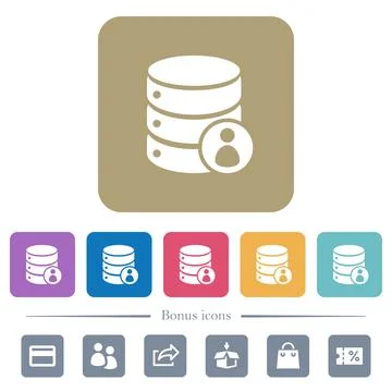 Database privileges flat icons on color rounded square backgrounds Stockillustratie