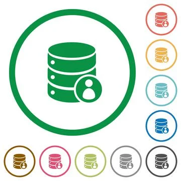 Database privileges flat icons with outlines Stock Illustration