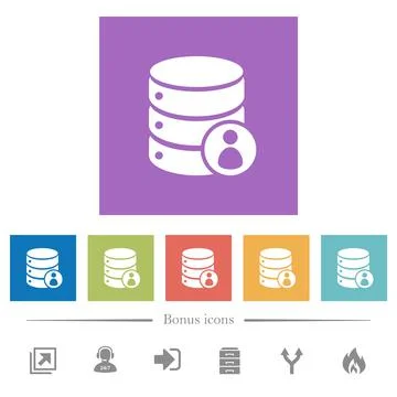 Database privileges flat white icons in square backgrounds 스톡 일러스트