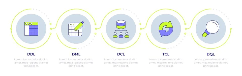 Database query languages infographic 5 steps 스톡 일러스트