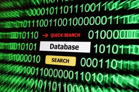 Database search 스톡 일러스트