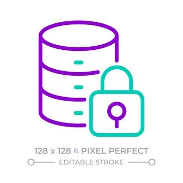 Database security two color line icon Stock Illustration