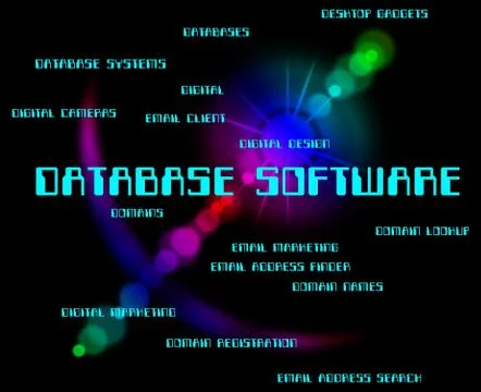 Database Software Means Databases Words And Computer Illustrazione stock