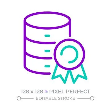 Database success two color line icon Stock Illustration
